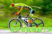 娱乐吃瓜酱自行车,自行车界的潮流新宠